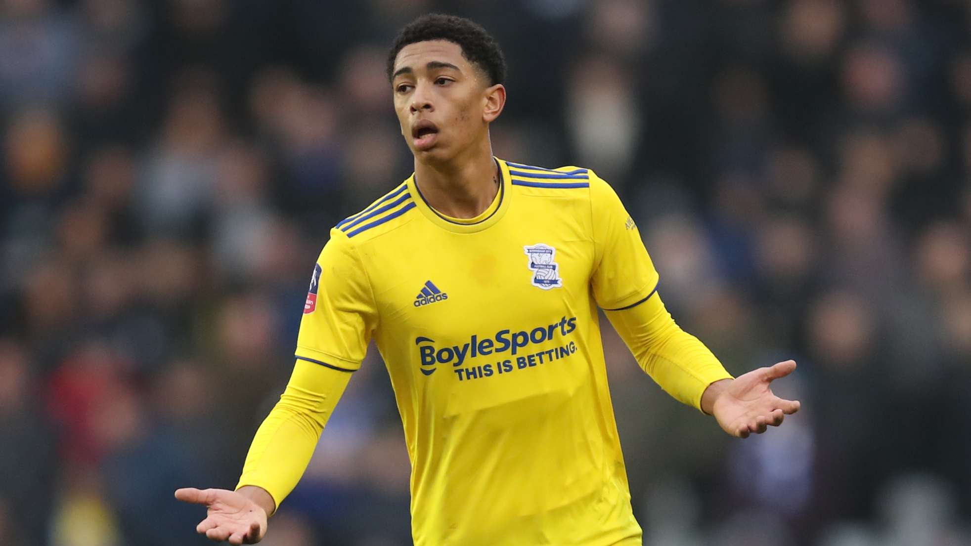 的球迷們再 的球迷們再