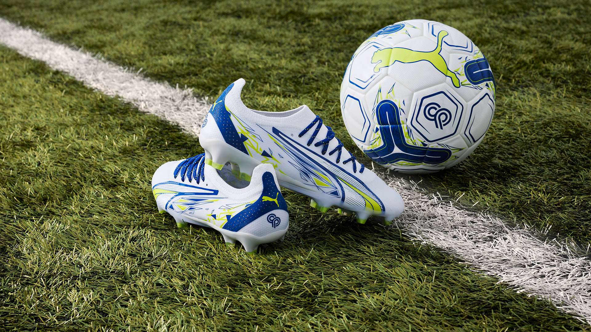 于任何教练 于任何教练