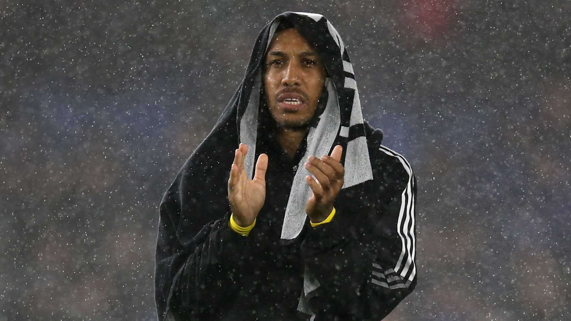 球员比如马 球员比如马